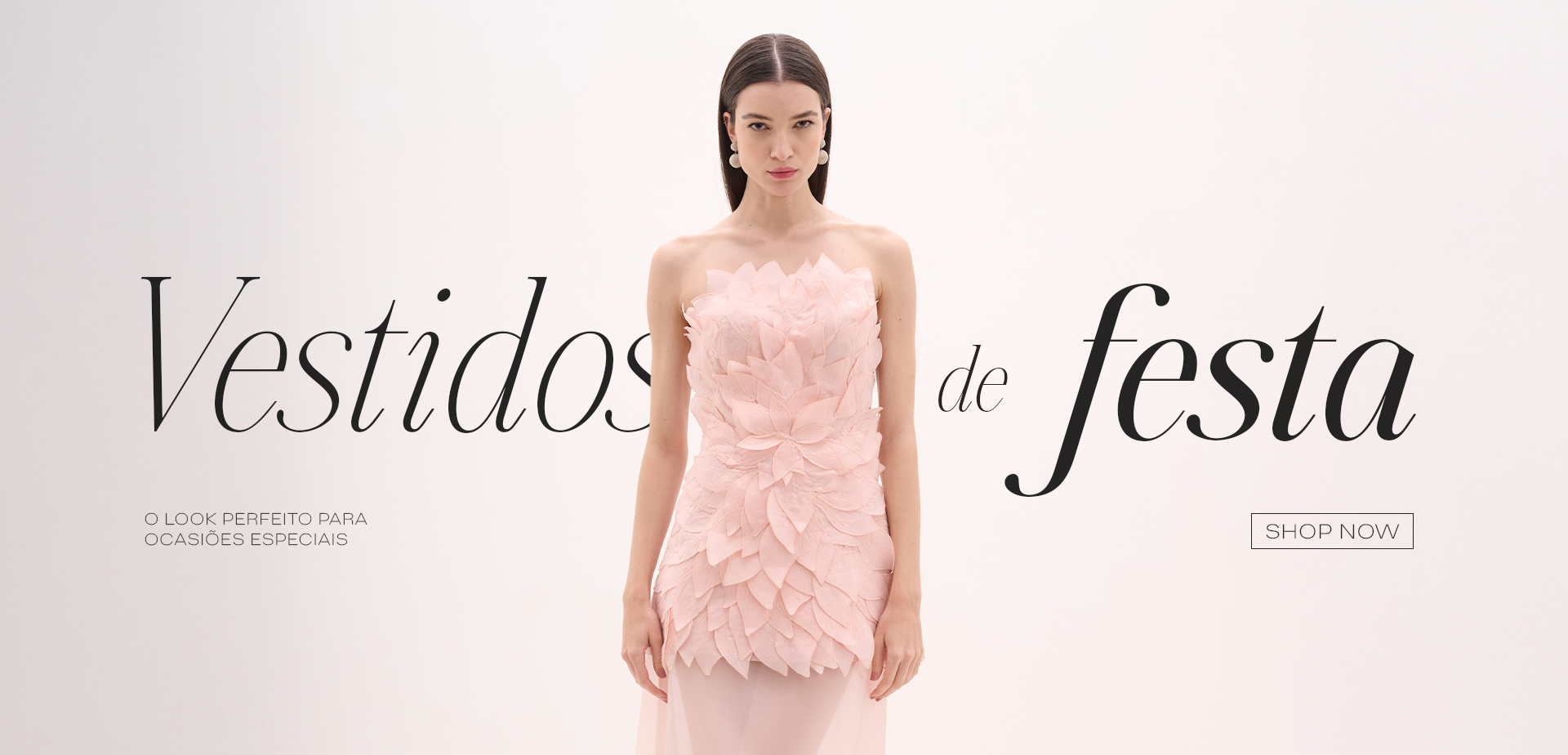 Vestidos Festa desktop