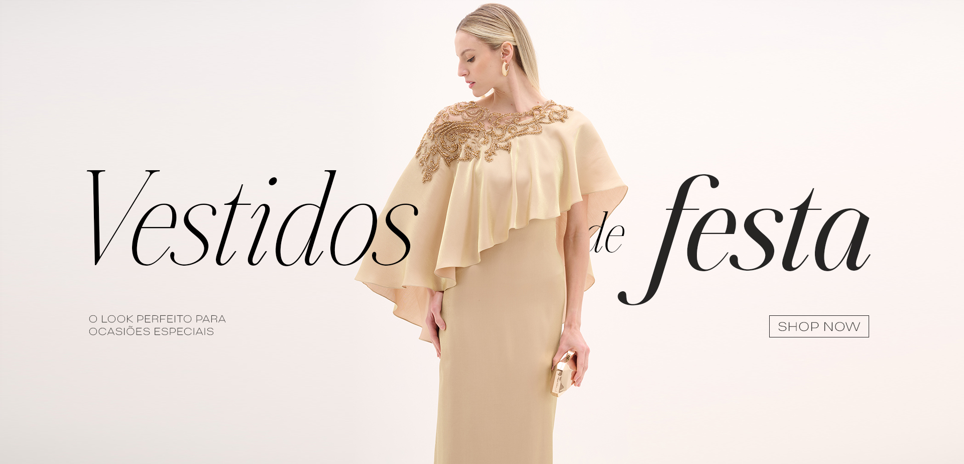 Vestidos Festa desktop