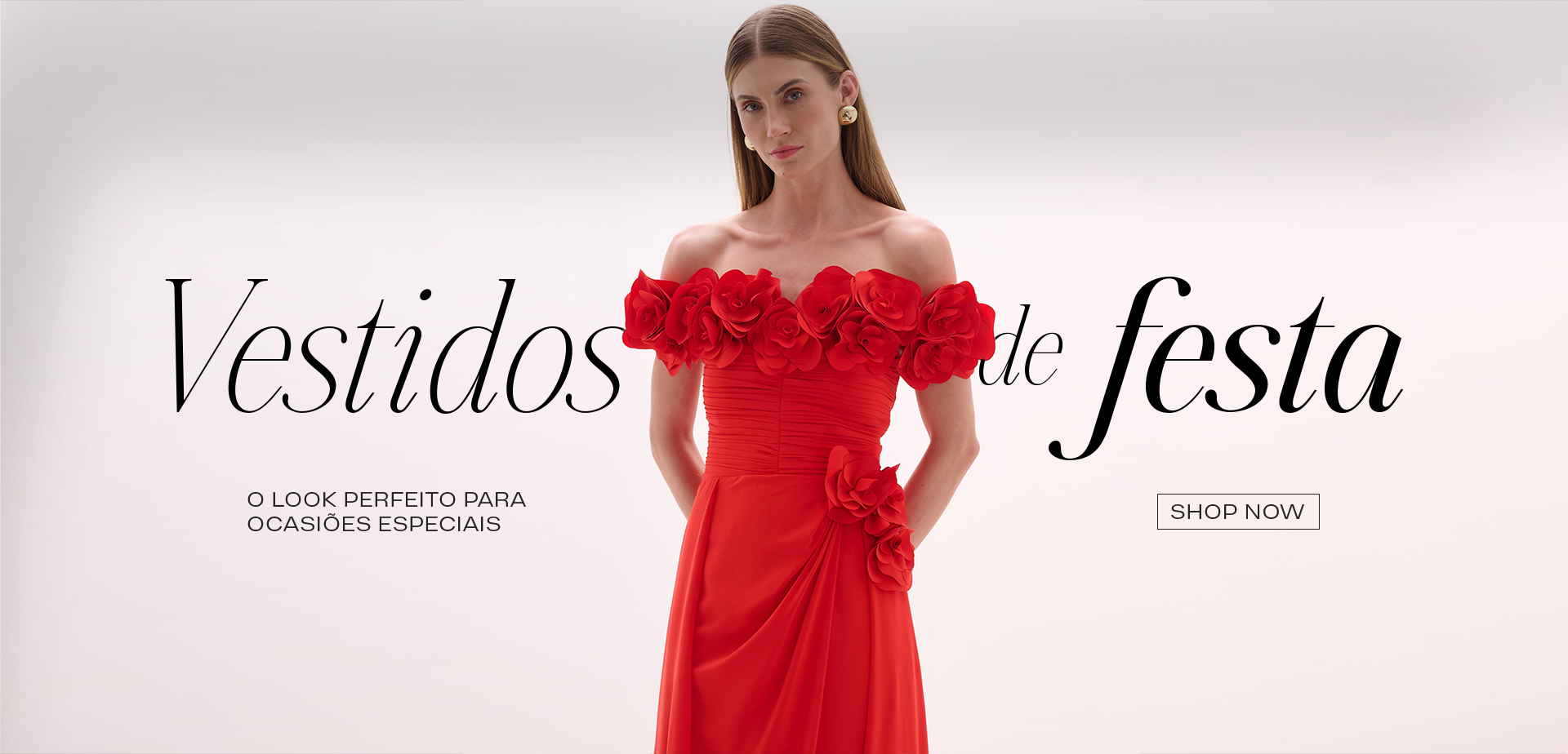 Vestidos Festa desktop