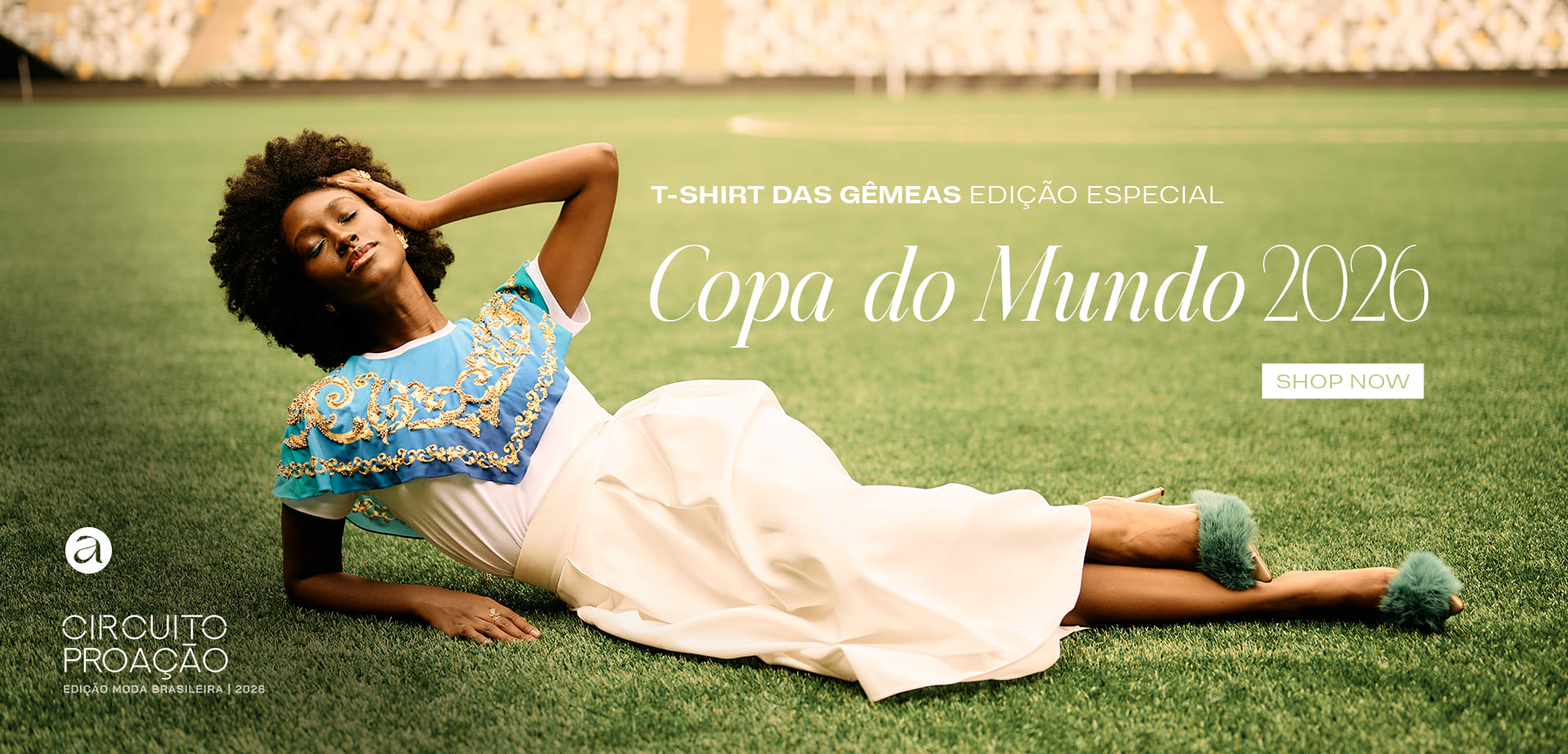 COPA - Desktop