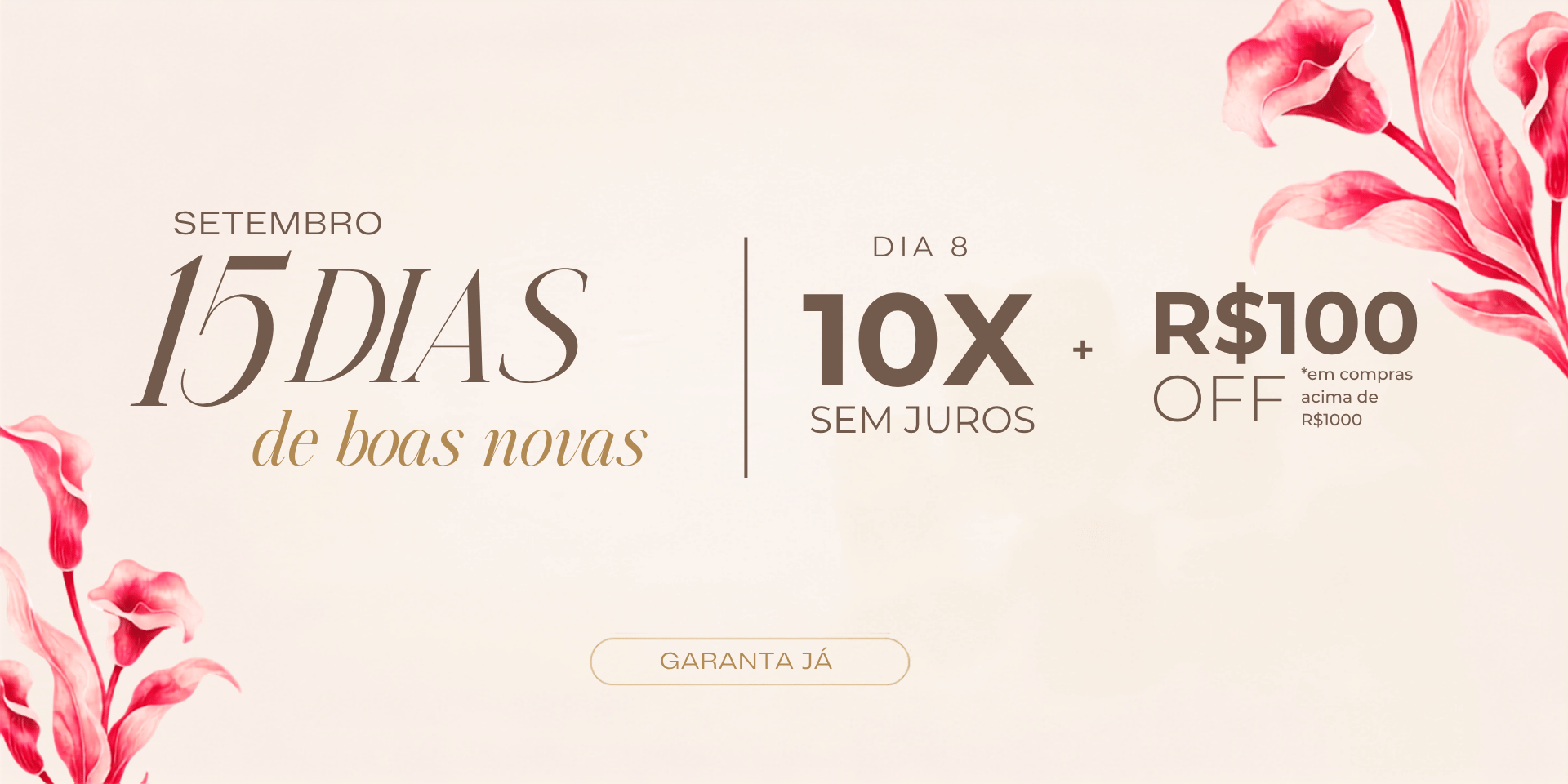 Boa Nova 8 - Desktop